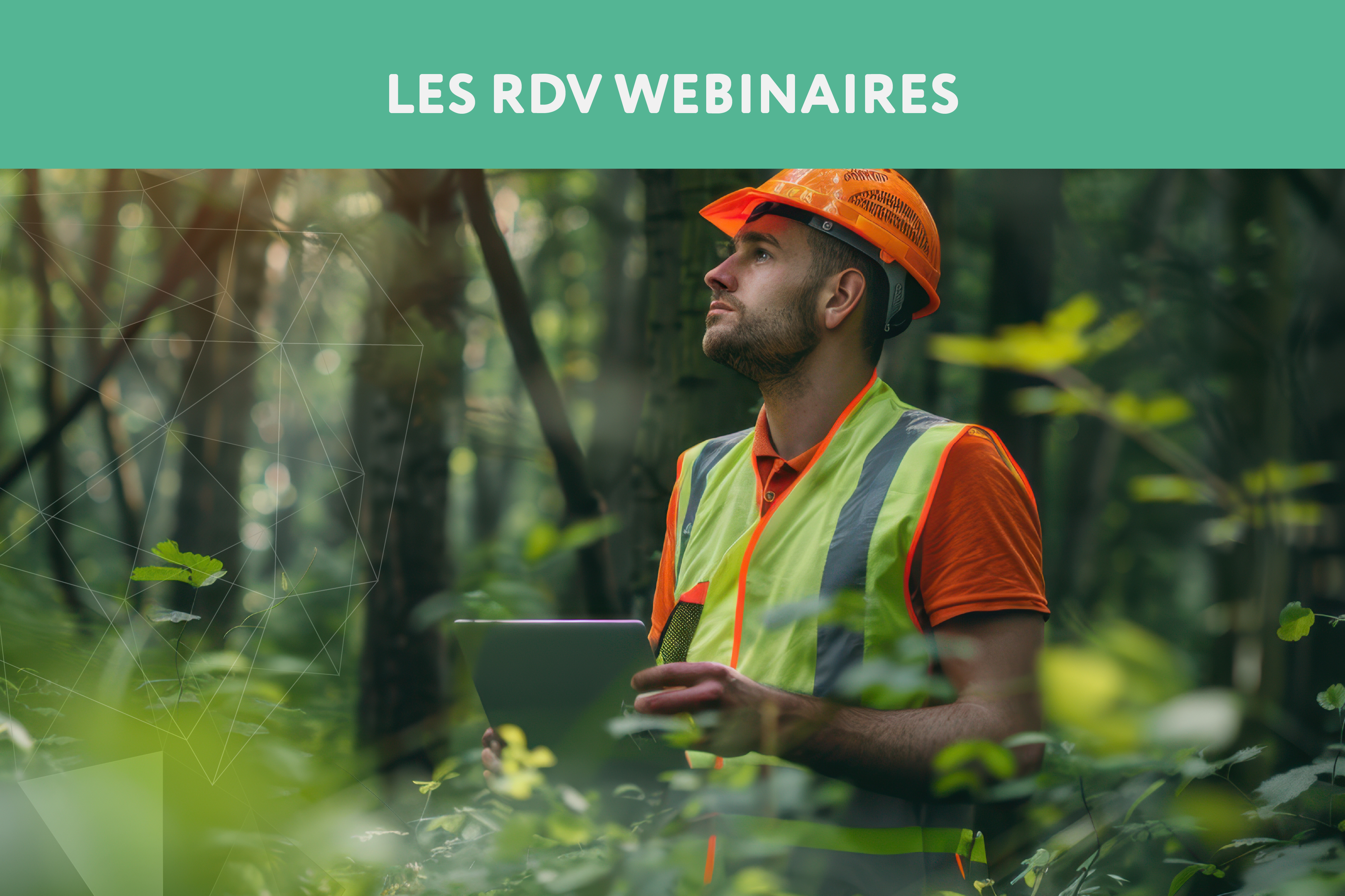 Forêt durable, économie forte : comprendre la modernisation du régime forestier - Chambre de commerce et d'industrie Saguenay-Le Fjord